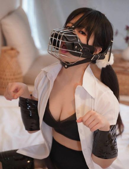 杨门女将之穆桂英挂帅