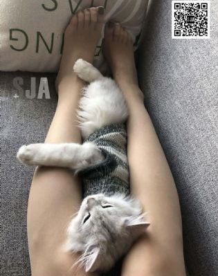 露西亚的情人