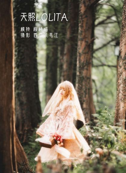 yy6080私人伦理一级二级