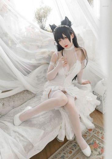 成全在线观看免费高清