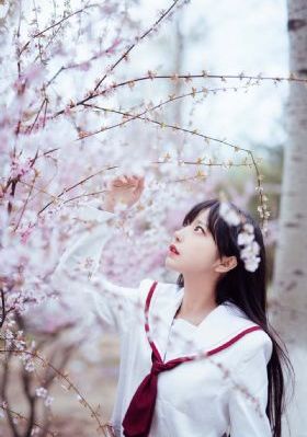娃娃脸2在线观看